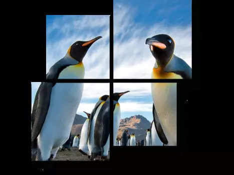 Модульная картина Picsis