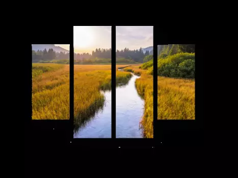 Модульная картина Picsis