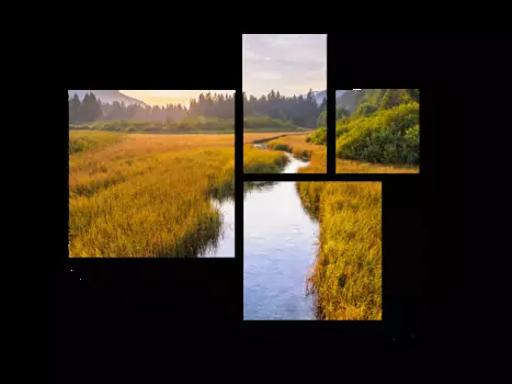 Модульная картина Picsis