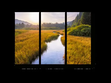 Модульная картина Picsis