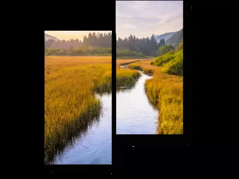 Модульная картина Picsis