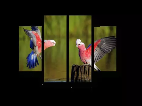 Модульная картина Picsis