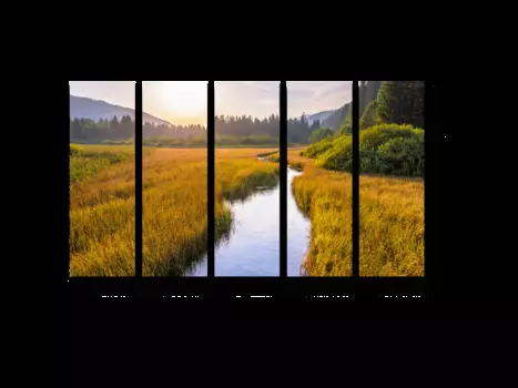 Модульная картина Picsis