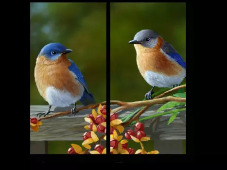 Модульная картина Picsis