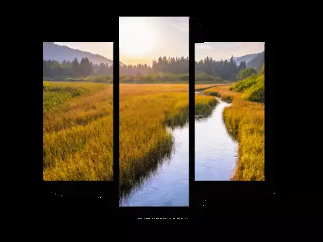 Модульная картина Picsis