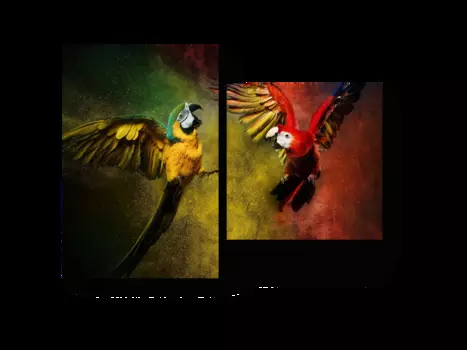 Модульная картина Picsis