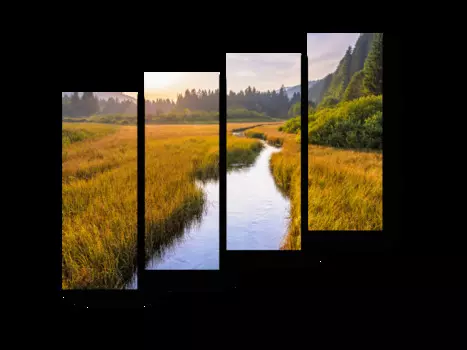 Модульная картина Picsis