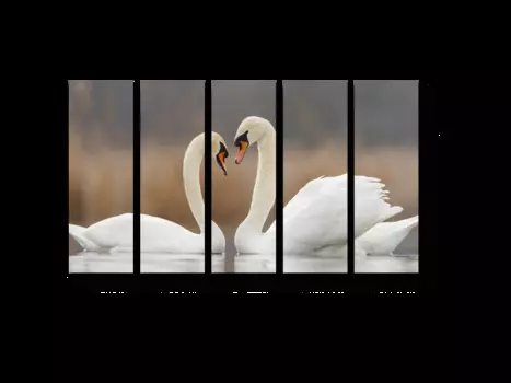 Модульная картина Picsis