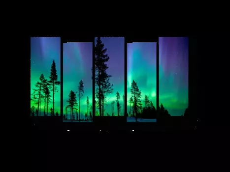 Модульная картина Picsis