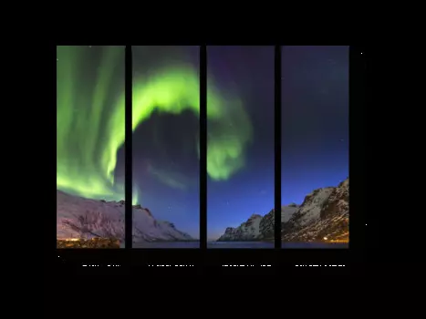 Модульная картина Picsis