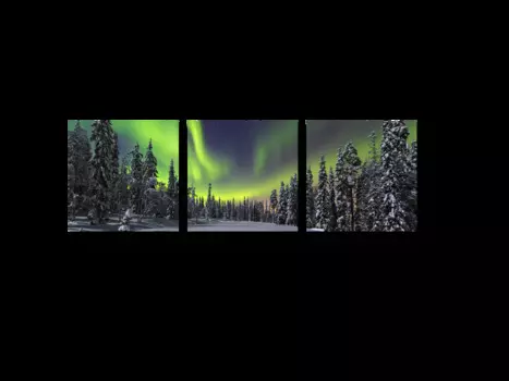 Модульная картина Picsis