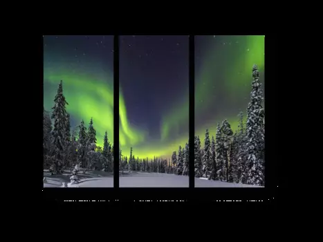 Модульная картина Picsis