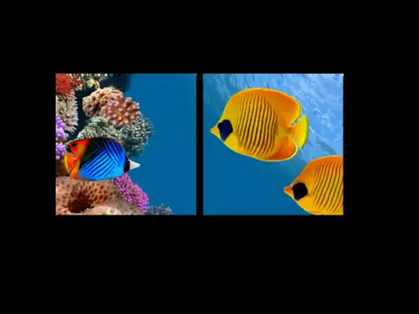 Модульная картина Picsis