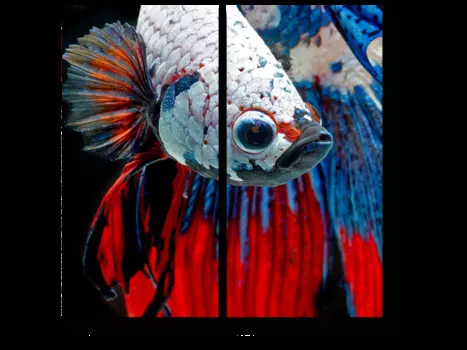 Модульная картина Picsis