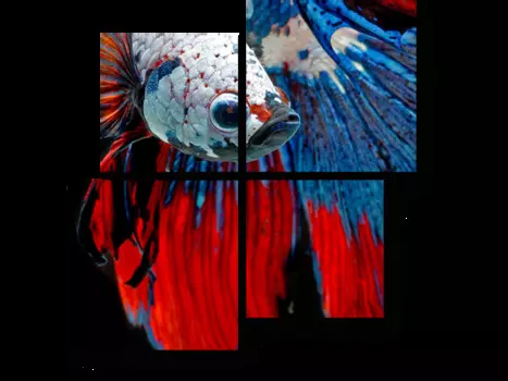 Модульная картина Picsis