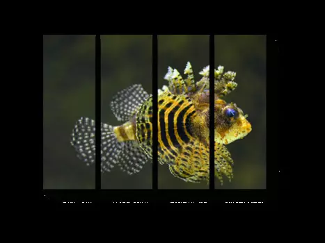 Модульная картина Picsis