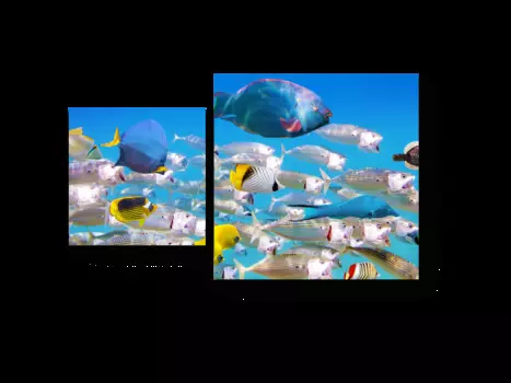 Модульная картина Picsis