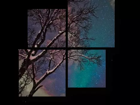 Модульная картина Picsis