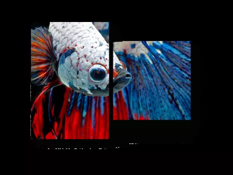 Модульная картина Picsis