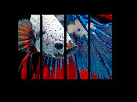 Модульная картина Picsis