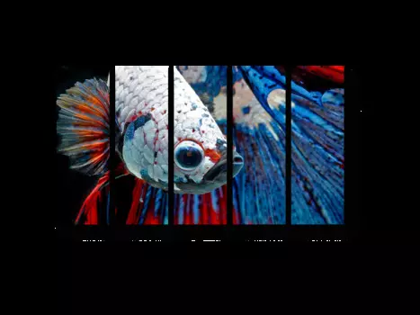 Модульная картина Picsis