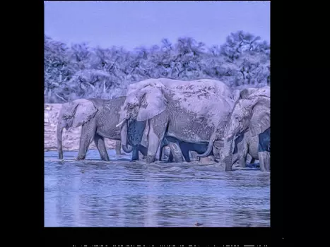 Модульная картина Picsis