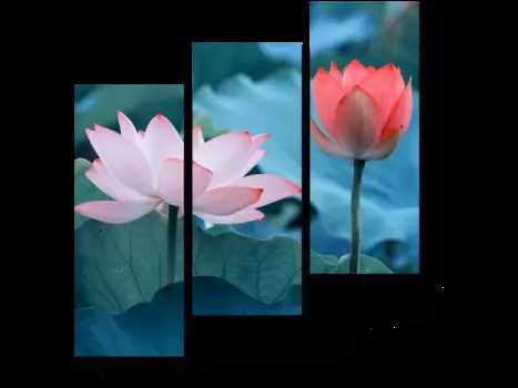 Модульная картина Picsis