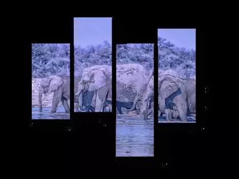 Модульная картина Picsis