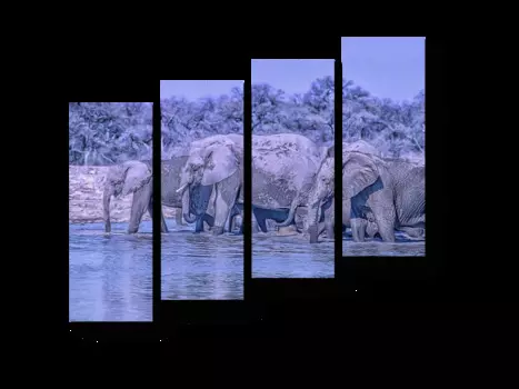 Модульная картина Picsis