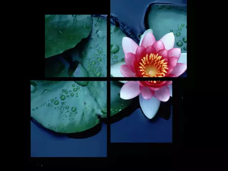 Модульная картина Picsis