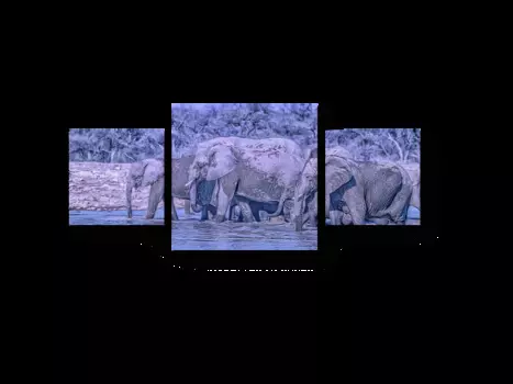 Модульная картина Picsis