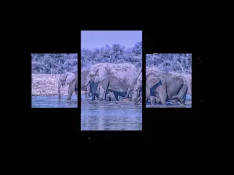 Модульная картина Picsis