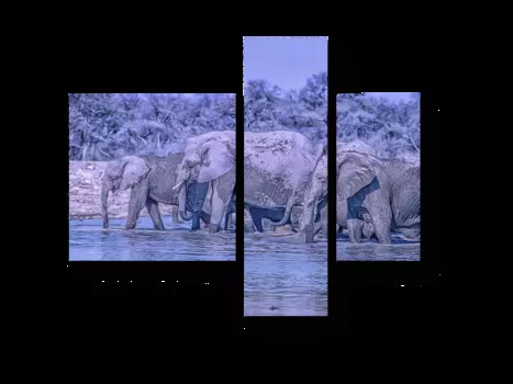 Модульная картина Picsis