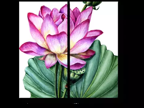 Модульная картина Picsis