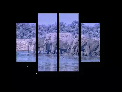 Модульная картина Picsis