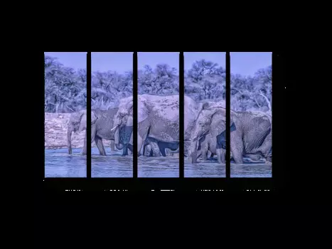 Модульная картина Picsis