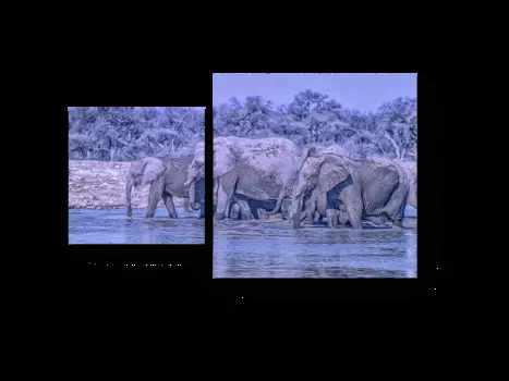 Модульная картина Picsis