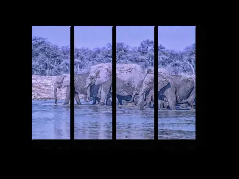 Модульная картина Picsis