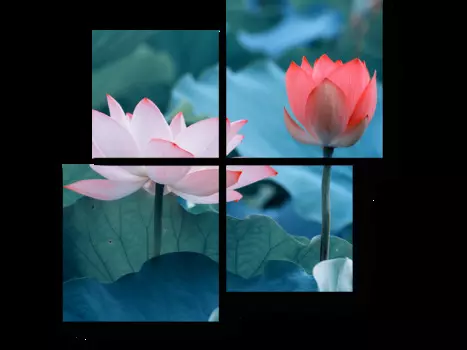 Модульная картина Picsis