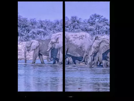 Модульная картина Picsis