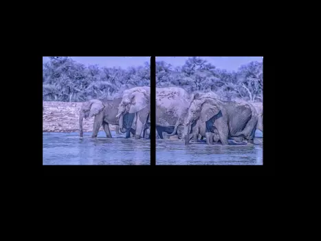 Модульная картина Picsis