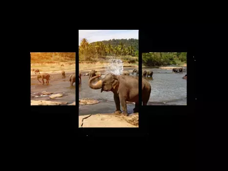 Модульная картина Picsis