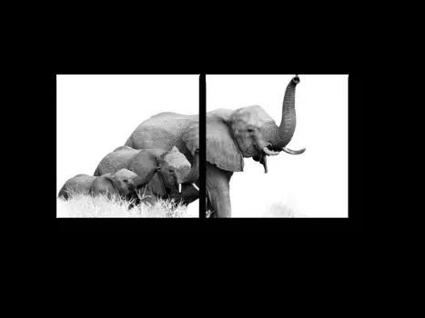 Модульная картина Picsis