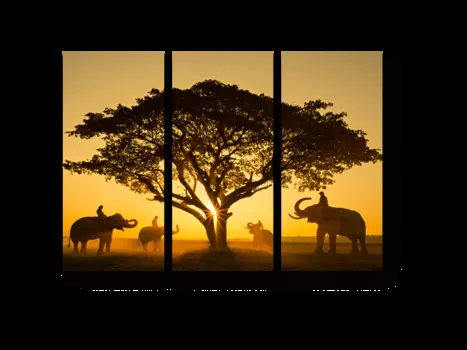 Модульная картина Picsis