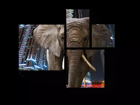 Модульная картина Picsis