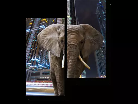 Модульная картина Picsis