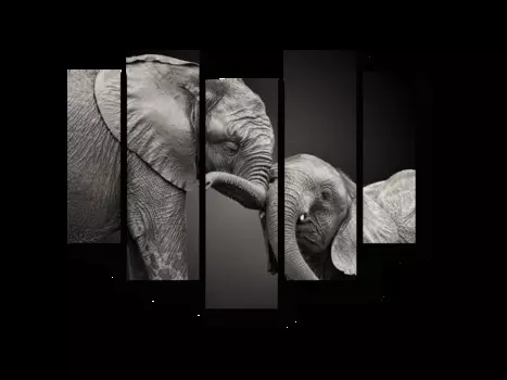 Модульная картина Picsis