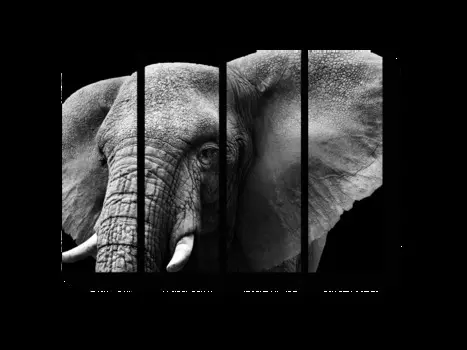 Модульная картина Picsis