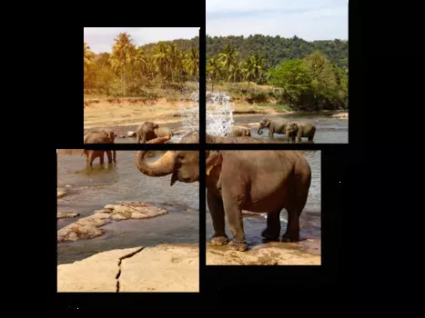 Модульная картина Picsis