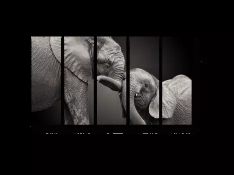 Модульная картина Picsis